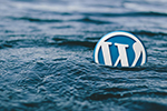 why-new-bloggers-should-use-wordpress